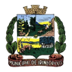 MUNIC�PIO DE IRINE�POLIS